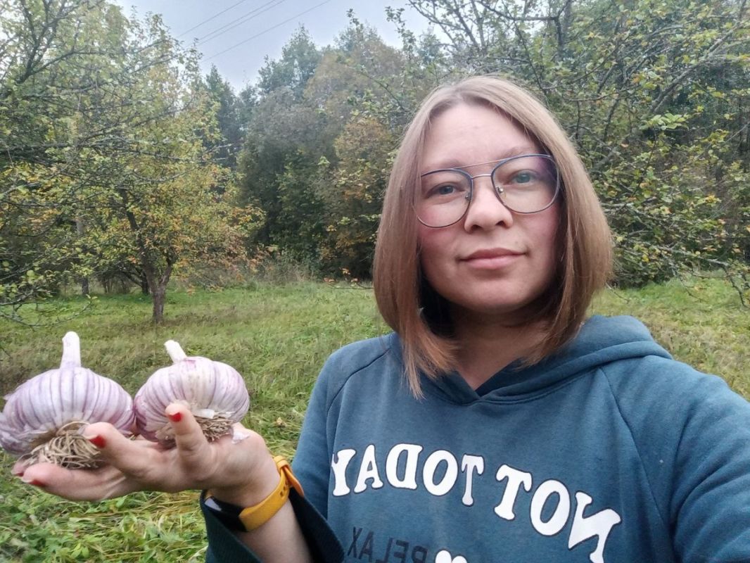 Озимый чеснок, который покорил огородников: секреты урожайного сорта