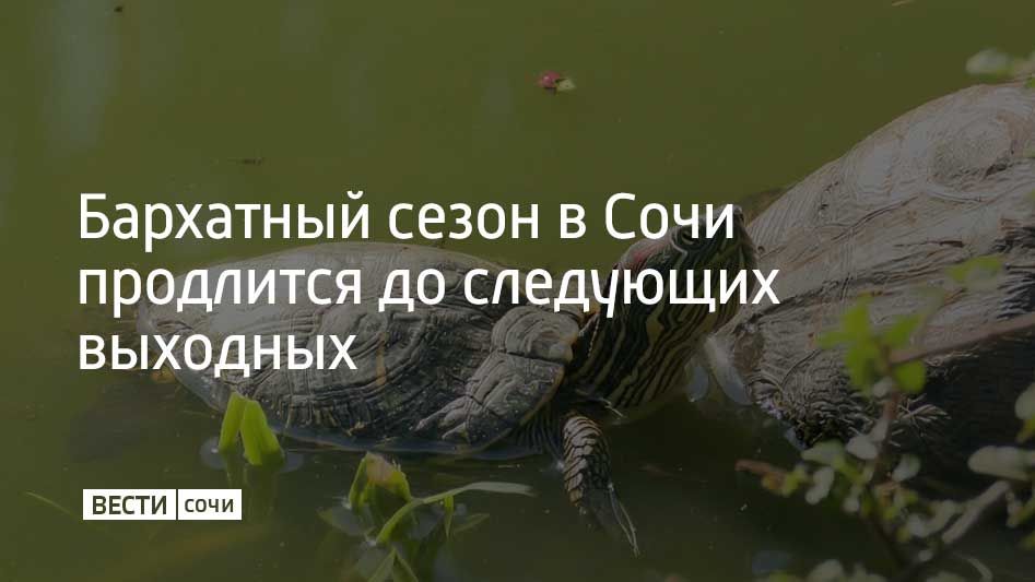 В выходные воздух в Краснодарском крае превысил климатическую норму на 3–4 градуса