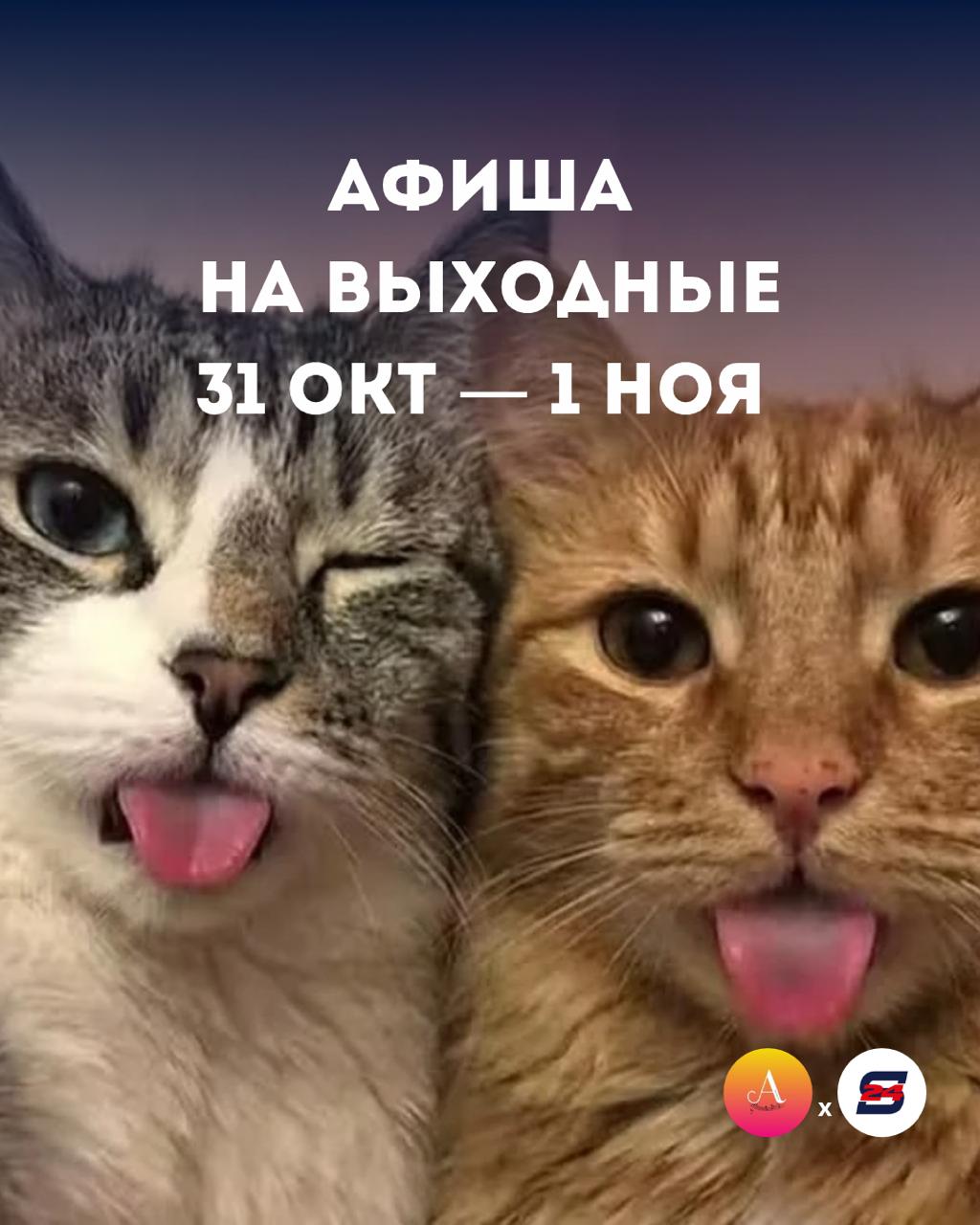Выходные — отличный повод немного замедлиться, отвлечься от повседневных забот и посвятить время тому, что приносит удовольствие!
